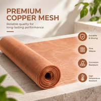 Rouleau de treillis métallique en cuivre fin pour filtre, durable, robuste, tissage uni, différentes largeurs, tailles standard et personnalisées selon vos besoins