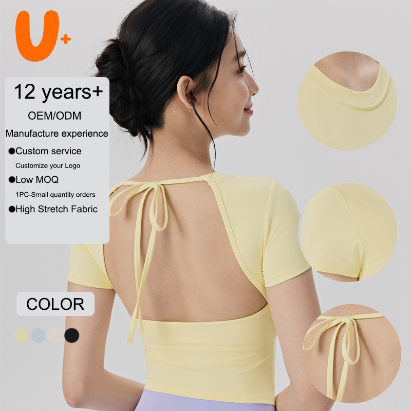 78% Nylon 22% Spandex Crew Neck Lightweight Loose Fittness Yoga T-shirt Women Women Fitness Yoga Tops T-shirts