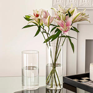 थोक कारखाने एंटी-फॉल लंबे सिलेंडर के लिए खुला हुआ चौड़ा मुंह ग्लास वेस घर के सजावट सरल डिजाइन फूल के लिए - Product Image 5