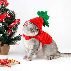 Robe pour chat en coton de haute qualité, motif à pois et fraises, pour fêtes, Noël et hiver, écologique - Product Image 4