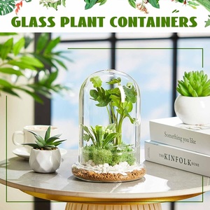 Klares Glas-<span class=keywords><strong>Terrarium</strong></span> Pflanzgefäß mit Kuppel, Luftlöchern & Basis für Gartenpflanzen - Handgeblasen, Handgefertigt, Umweltfreundlich - Product Image 2