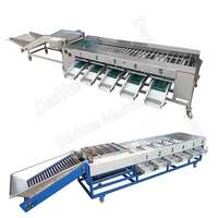 Machine de classement de triage d'olives Machine de classement de tomates cerises Machine de classement de fruits pour fruits ovales