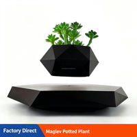 Levitación Magnética para Plantas Artificiales, Flores, Decoración del Hogar, Dormitorio, Jardín, Bonsái Flotante, Maceta Levitante