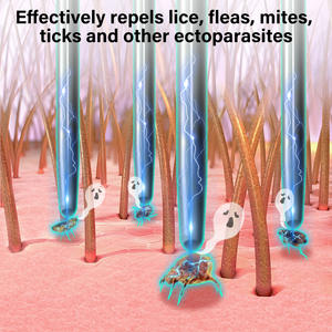 Brosse de massage <span class=keywords><strong>anti</strong></span>-puces 2 en 1 personnalisée, peigne électrique <span class=keywords><strong>anti</strong></span>-poux, éliminateur de poils pour chien et chat - Product Image 4