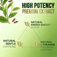 Capsules d'extrait de thé vert OEM/ODM, complément alimentaire pour booster l'énergie et soutenir l'immunité, durée de conservation de 24 mois pour adultes