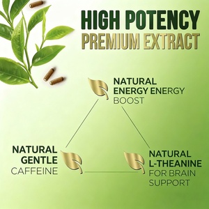 Capsules d'extrait de thé vert OEM/ODM, complément alimentaire pour booster l'énergie et soutenir l'immunité, durée de conservation de 24 mois pour adultes - Product Image 5