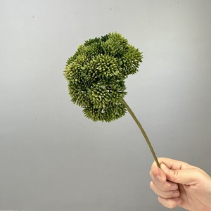 <span class=keywords><strong>Pianta</strong></span> <span class=keywords><strong>succulenta</strong></span> artificiale a stelo singolo per decorazione di soggiorno, casa e matrimoni, <span class=keywords><strong>pianta</strong></span> decorativa per creazione di paesaggi - Product Image 6