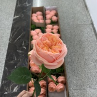 K-0166 Bunga Austin Rose Real Touch Warna Peach Pink Oranye Dekorasi Pernikahan Rumah Mewah Perlengkapan Bunga untuk Reseller Grosir
