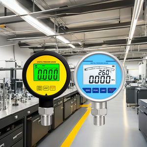 음수 0-15 psi 압력 게이지 0.5 레벨 배터리 16 bar 20 bar 디지털 압력 게이지 1/8 Bspp 100 mm 4-20 Ma 천연 가스 - Product Image 1
