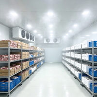 Cámara Frigorífica de Gran Tamaño con Control Digital, Compresor Automático y Fácil Operación