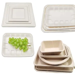 eco friendly dinner disposable sugarcane paper biodegradable bagasse pulp tray