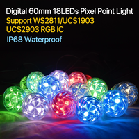 Cabochon de couleur de rêve DC 24V IP68 6018 UCS2903 RGB LED Pixel Point Light pour les parcs à thème