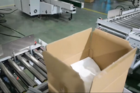 Ligne d'emballage et de palettisation automatique de sachets dans des cartons – Machine d'emballage de cartons à dépose de sachets – Emballeuse de cartons à dépose de sachets