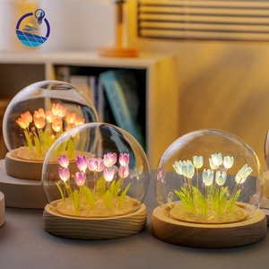 Luz de noche de tulipán Diy decorativa <span class=keywords><strong>para</strong></span> el hogar, Mini lámpara de flores de tulipán de luz de noche de <span class=keywords><strong>bola</strong></span> de cristal de tulipán Led - Product Image 5