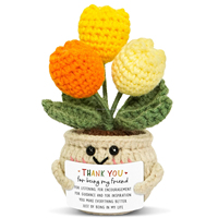 Fleur en crochet faite à la main, tulipe positive, cadeau inspirant pour la fête des mères, la remise des diplômes, l'encouragement, soutien émotionnel