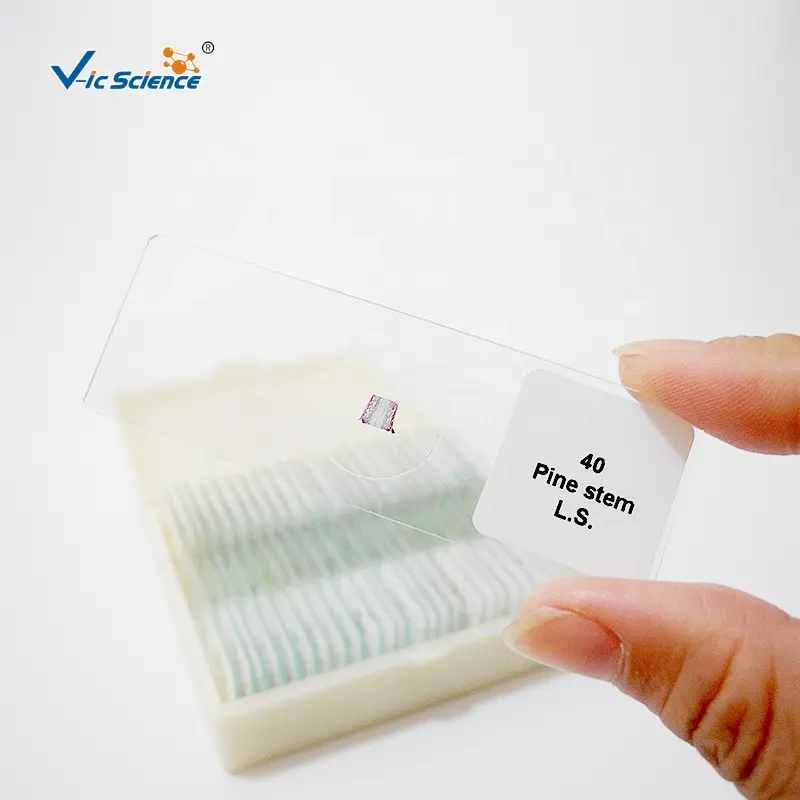 Sinh học trẻ em Kính hiển vi chuẩn bị Slide 50 miếng Miệng mô học động vật ong sinh vật phù du kính hiển vi chuẩn bị Slide mẫu