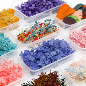 I405 fleurs séchées bricolage matériaux en relief pin mousse hortensias fleurs immortelles pour artisanat décorations faites à la main - Product Image 1