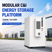 Gabinete Modular de Almacenamiento de Energía BESS LiFePO4 de 125kW 241kWh para Uso Comercial e Industrial, Integración con Proyectos EPC y PCS Externos