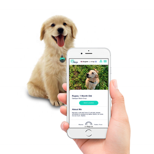 Etiqueta de impresión personalizada 213 Em Metal 213 Tracking Dog Air Smart 13,56 Mhz Rfid Nfc Dog <span class=keywords><strong>Pet</strong></span> Epoxy Tag Nfc <span class=keywords><strong>Pet</strong></span> <span class=keywords><strong>Id</strong></span> Tag - Product Image 1