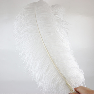 Pied de <span class=keywords><strong>plume</strong></span> d'autruche blanche artisanal de 70-75 cm - Product Image 4