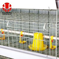 Système de cages à poulets de chair de type H avec alimentation et abreuvement automatiques et élimination des excréments pour poulailler