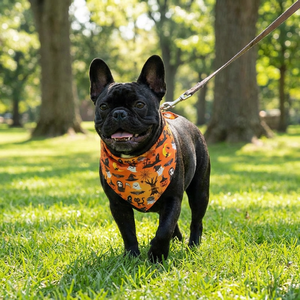 בנדנה לכלב עם הדפס ליל כל הקדושים, הדפס מותאם אישית עם לוגו, בנדנה משולשת לכלב - Product Image 2