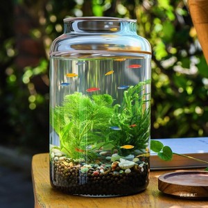<span class=keywords><strong>Terrarium</strong></span> moderne rond <span class=keywords><strong>en</strong></span> <span class=keywords><strong>verre</strong></span> transparent avec couvercle Poisson hydroponique de grande taille <span class=keywords><strong>pour</strong></span> réservoir et <span class=keywords><strong>vase</strong></span> de table <span class=keywords><strong>pour</strong></span> décoration intérieure <span class=keywords><strong>pour</strong></span> mariage Diwali - Product Image 2