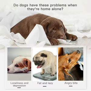 Toptan yıkılmaz en iyi satmak Pet oyuncak köpek gıcırtılı peluş Bite dayanıklı çiğnemek oyuncak karikatür maymun aslan fil şekli oyuncak - Product Image 6