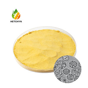 Hetchyn DHA EPA, органический 100%, натуральный порошок шизохитрия, порошок микроводорослей, 18% 22% дха - Product Image 3