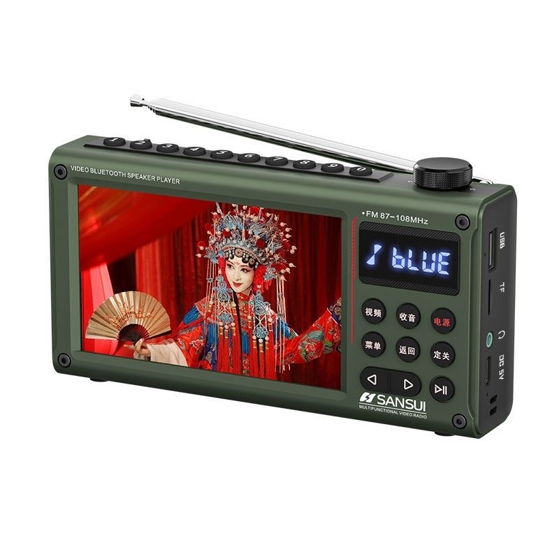 SANSUI F69 Portable Bluetooth FM Radio & Video Player with Dual