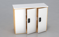 Serrure intelligente d'armoire la plus vendue Entrée sans clé intelligente avec carte d'application TTLOCK et code PIN