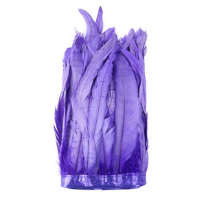 Venta al por mayor <span class=keywords><strong>de</strong></span> plumas <span class=keywords><strong>de</strong></span> cola <span class=keywords><strong>de</strong></span> gallo púrpura teñidas blanqueadas <span class=keywords><strong>de</strong></span> 25-30 cm para hombres brasileños, disfraces <span class=keywords><strong>de</strong></span> <span class=keywords><strong>Carnaval</strong></span> - Product Image 4