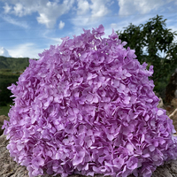 Roze Hortensia Eeuwige Bloem Ge conserveerde Hortensia's Ge stabiliseerde Hortensia voor Bruiloft Huis Tafeldecoratie Groothandel