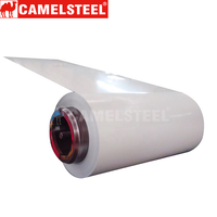 Bobines d'acier de haute qualité CAMELSTEEL conformes à la norme ASTM, personnalisables, prépeintes PPGI PPGL, revêtement couleur, pour tôles de toiture 0,21-0,50 mm