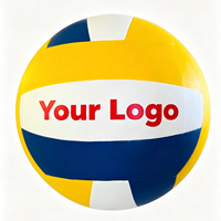 Ballon de volley-ball taille 5, vessie en PU, surface en PU imperméable, utilisation multi-scènes intérieur et plage