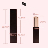 Emballage cosmétique de luxe haut de gamme 5g, tube à lèvres vide en plastique noir mat carré avec aimant