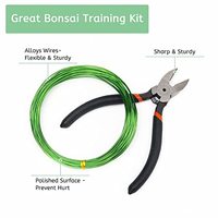 Kit de fil de formation de bonsaï fil d'arbre en aluminium anodisé avec outils de fil de formation de plante de coupe d'arbre de bonsaï pour arbres de bonsaï