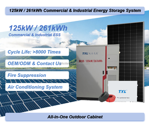 Sistema de Almacenamiento de Energía de 125 kW, Batería de 261 kWh, ESS para Comercios e Industrias, Gabinete Comercial, BESS Industrial, Almacenamiento T.Y.L-125KW/261KWh Todo en Uno - Product Image 1