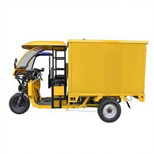 Tricycle électrique de livraison à 3 roues avec toit à auvent verrouillable pour le transport commercial de colis et de marchandises en ville - Product Image 1