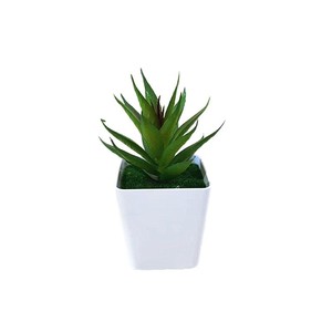Plante artificielle en pot en plastique, mini bonsaï succulent en forme d'herbe d'aloe vera, plante verte décorative pour le salon, le meuble TV - Product Image 5