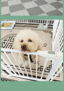 Trong nhà lớn kim loại sắt di động gấp cũi tập thể dục chó playpen hàng rào trong nhà Con Chó Chạy lồng - Product Image 5