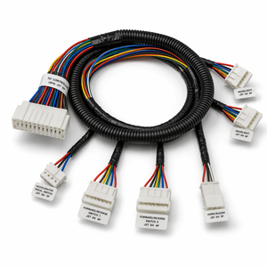 Harnais de câblage personnalisé pour véhicules spéciaux robustes TE AMP 18 broches UL1569 étanche IP67 ISO9001 pour UTV et chariots industriels - Product Image 1