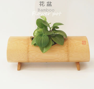 Plantation de pots de bambou fleurs et plantes en bambou design agréable plantes de poteaux de bambou écologiques et recyclés - Product Image 5