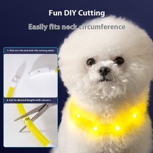 Collare per cani regolabile notte luminoso Anti-morso Anti-smarrimento per animali domestici per personalizzare il collare di ricarica per cani comodi - Product Image 2
