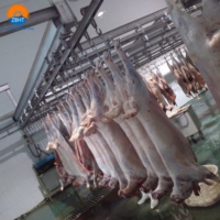 Systèmes de rails à viande à double poulie en acier inoxydable 304, directement de l'usine, pour l'équipement de transport de carcasses en chambre froide