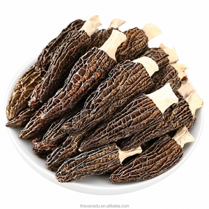 Funghi Morchella Selvatici Essiccati Neri 5-7cm Lunghi Raccolti a Mano Premium Commestibili Confezione all'Ingrosso - Product Image 1