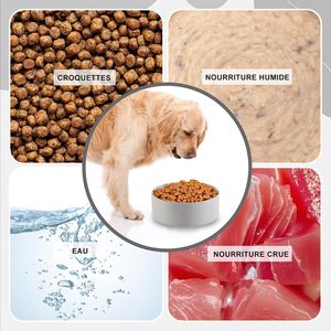 Customizable <b>Ceramic</b> Pet Bowl & Storage Jar Set Eco-Friendly Pet Food Container Home Decor for <b>Dog</b> Cat Bowl Treats Jar - Product Image 2