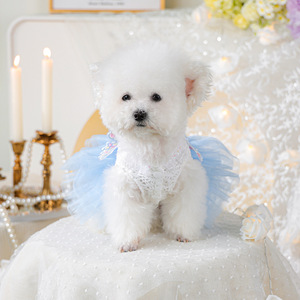 Butterfly Design Lace Trim Pet Dress With Soft Lining Snap <b>Button</b> Closure For Small <b>Dogs</b> Cats Cute Pet Clothing - Product Image 4