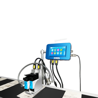 Impresora de Inyección de Tinta Industrial en Línea Willita WJ-2 de 50.8 mm (2 Pulgadas) para Codificación de Cajas de Cartón con Caracteres Grandes