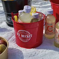 Seau à glace avec poignée, multicolore, petit, pour refroidir la bière et le vin, idéal pour les fêtes en plein air, les bars et la maison
